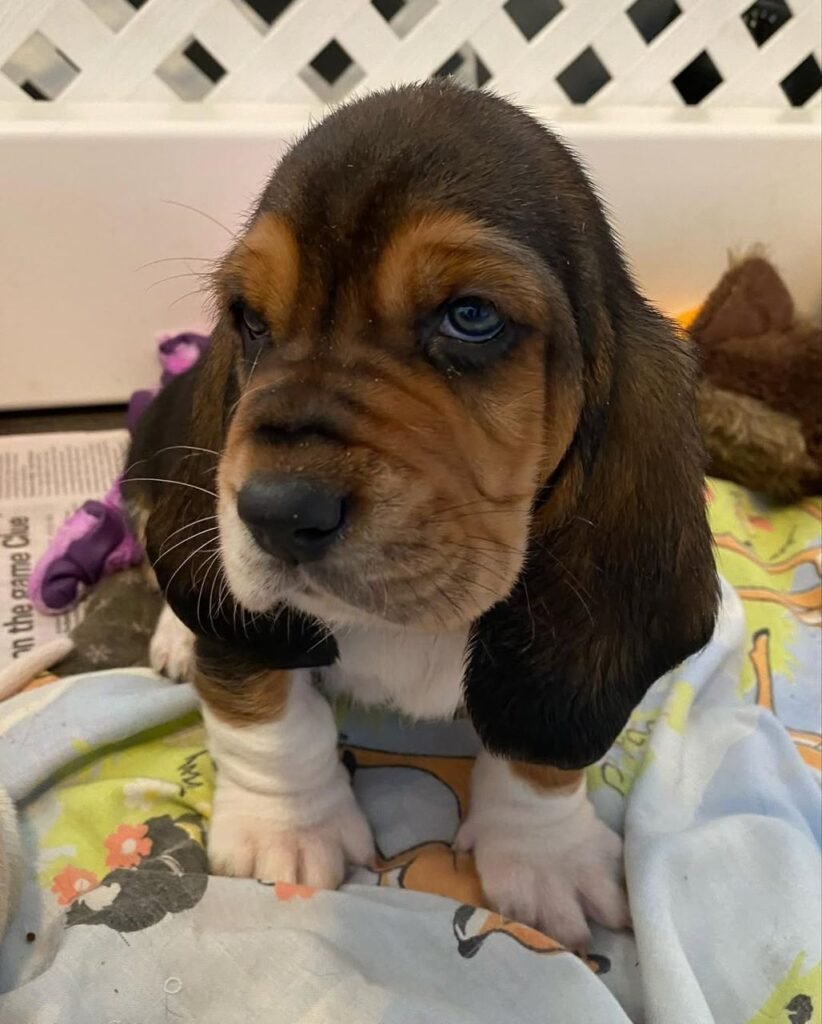 Charlie
