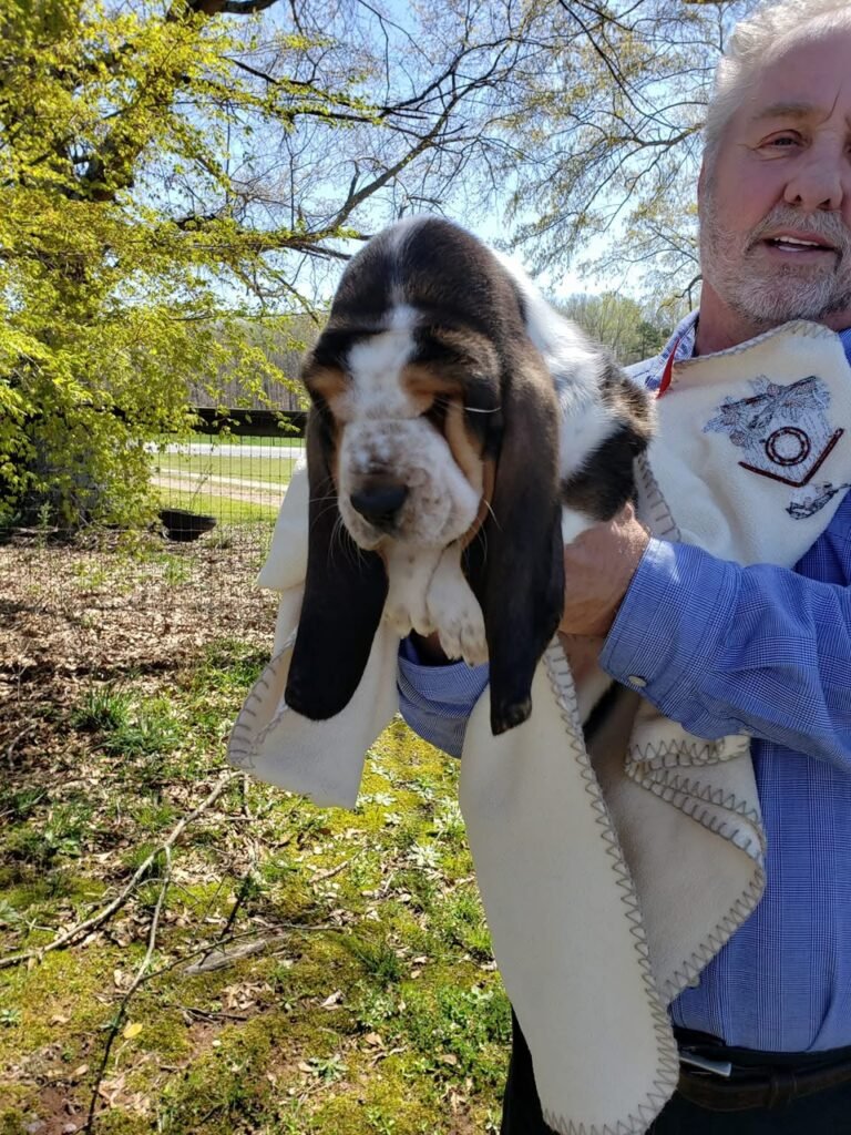 Sarah & Mike Ellison with their basset hound