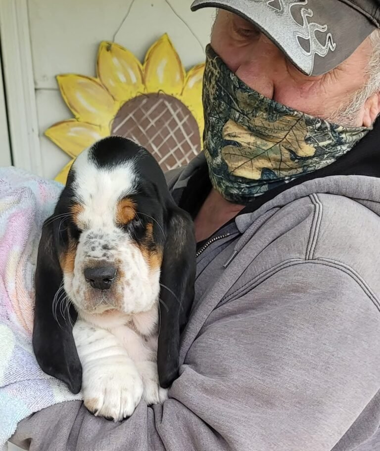 Marcus Bell with their basset hound