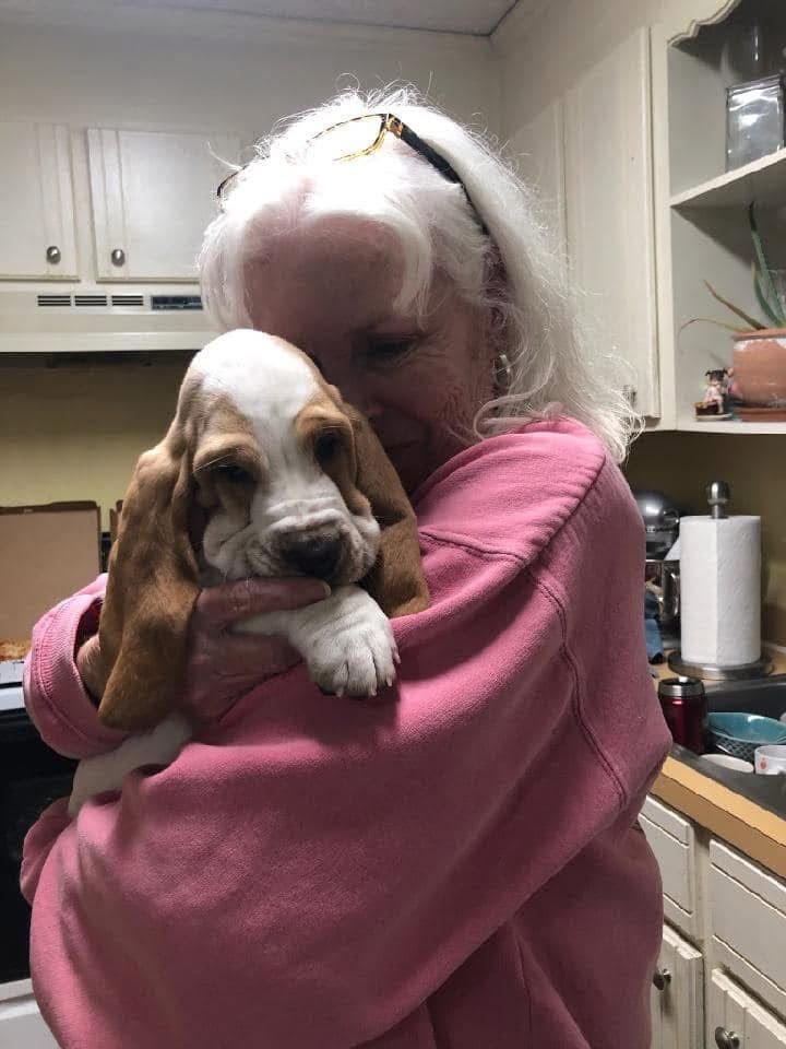 Ellen Prewitt with their basset hound