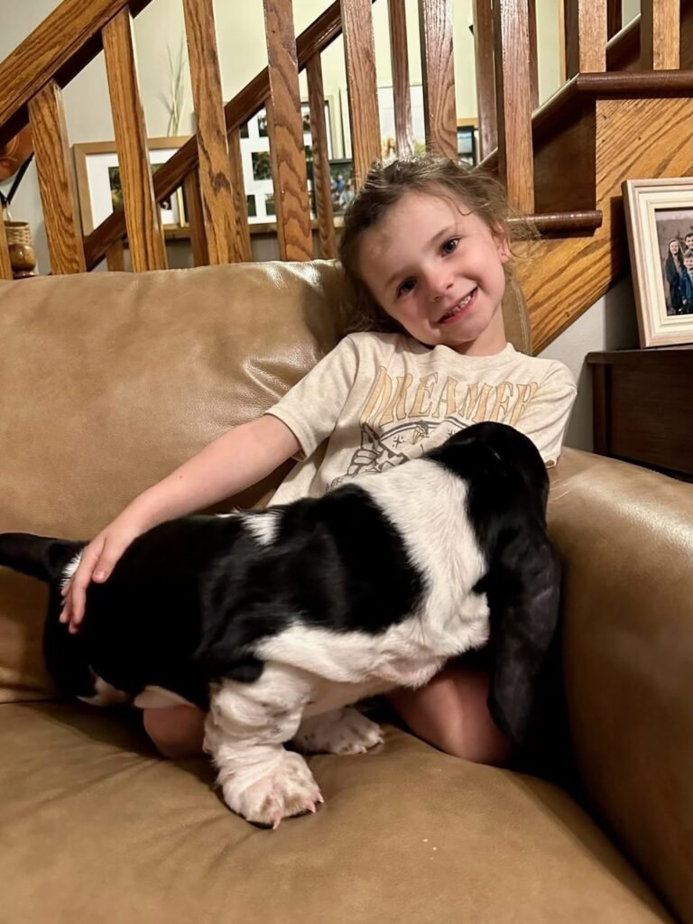 Dan & Kerry Ostrander with their basset hound